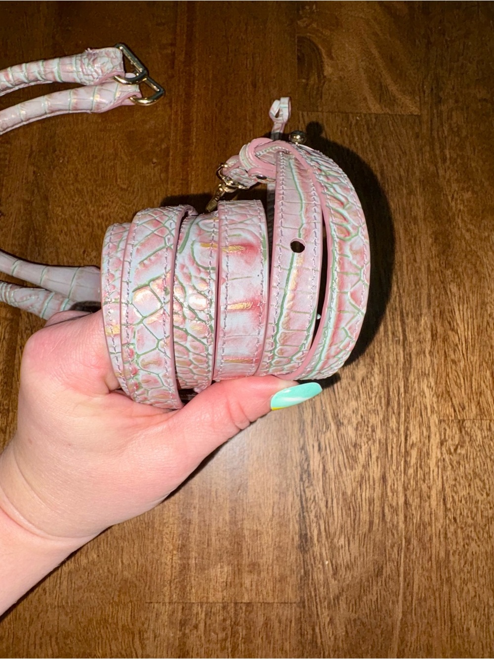Brahmin Flirty Ombré—Pink/Green Croc-Texture Bag Straps with Gold Hardware - Picture 7 of 13